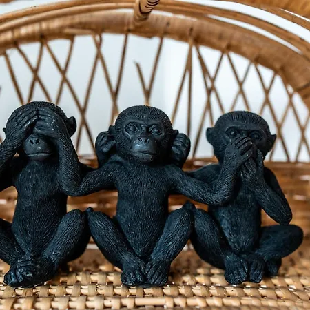 La Maison Paisible - Route Des Vins Holiday home *